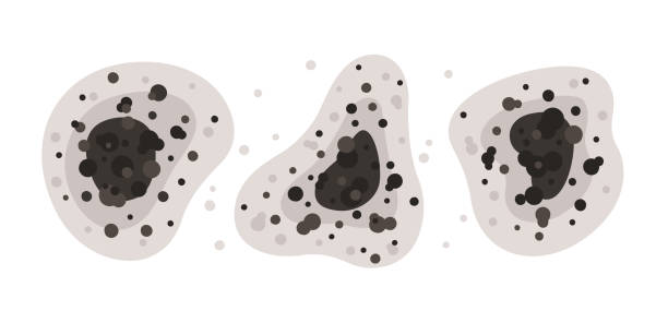 Best Airborne Mold Testing  in Cridersville, OH
