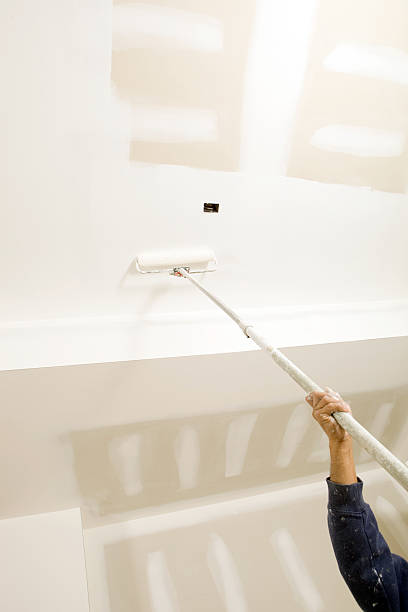 Best Environmental Consulting for Mold Prevention  in Cridersville, OH