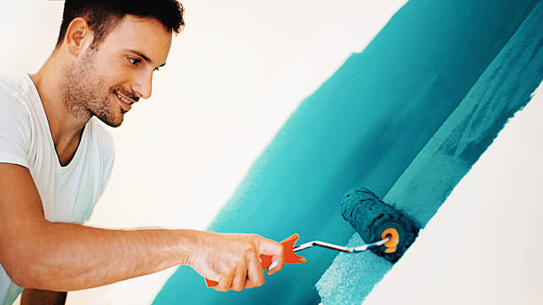 Best Black Mold Removal  in Cridersville, OH